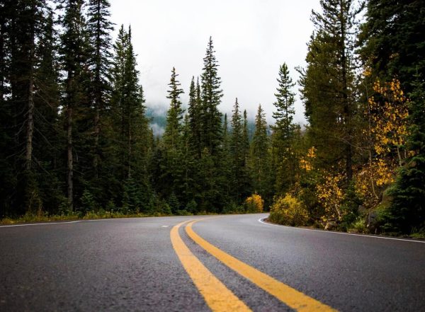 Test & Driving License Rules Tricks & Tips